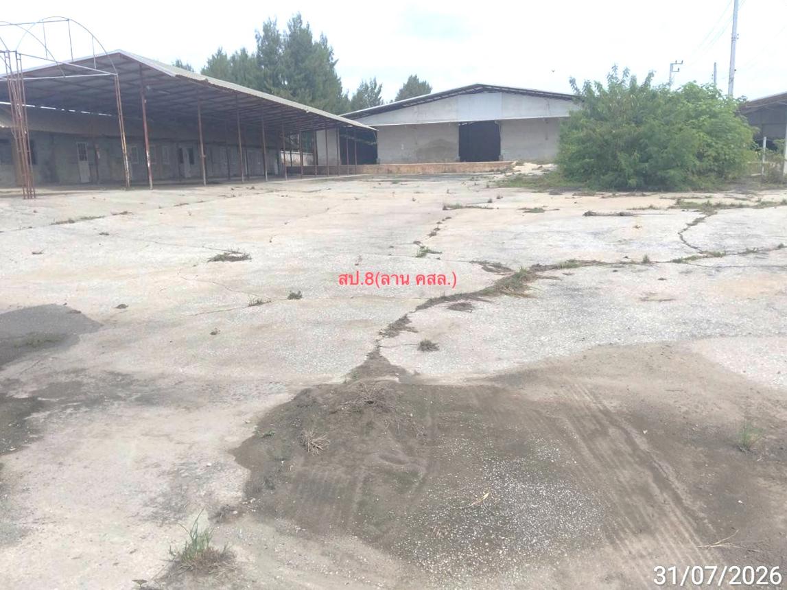 picture FACTORY 4553 Sq.w. Pak Chong Nakhon Ratchasima for 84.4M - 33/37