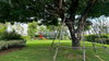 listing thumbnail image 24