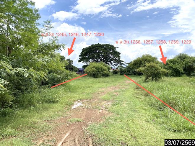 รูป เพิงอเนกประสงค์ 2059 ตร.วา นากลาง หนองบัวลำภู 10.8M - รูปที่ 15/41