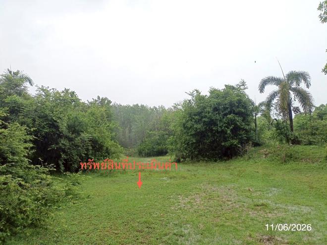 picture LAND 1463.3 Sq.w. Palian Trang for 2.9M - 8/21
