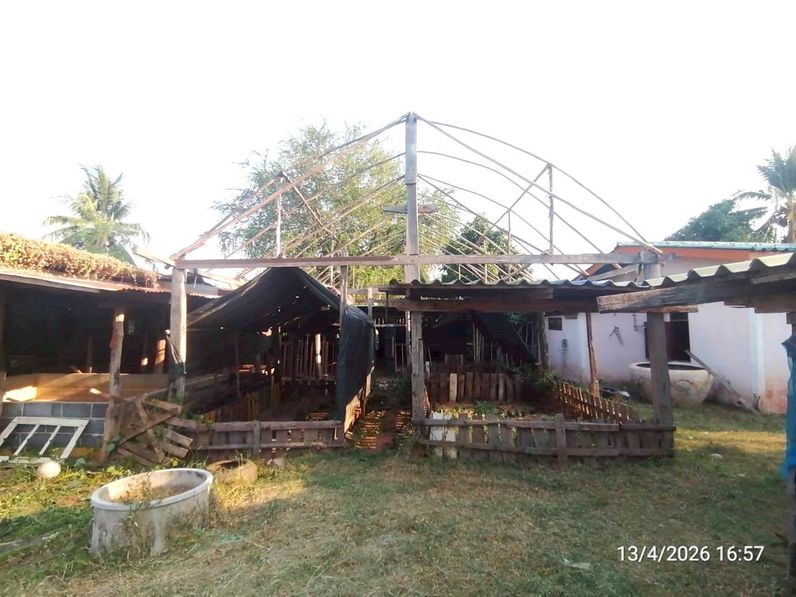 รูป บ้านเดี่ยว 1223 ตร.วา จัตุรัส ชัยภูมิ 1.5M - รูปที่ 35/57