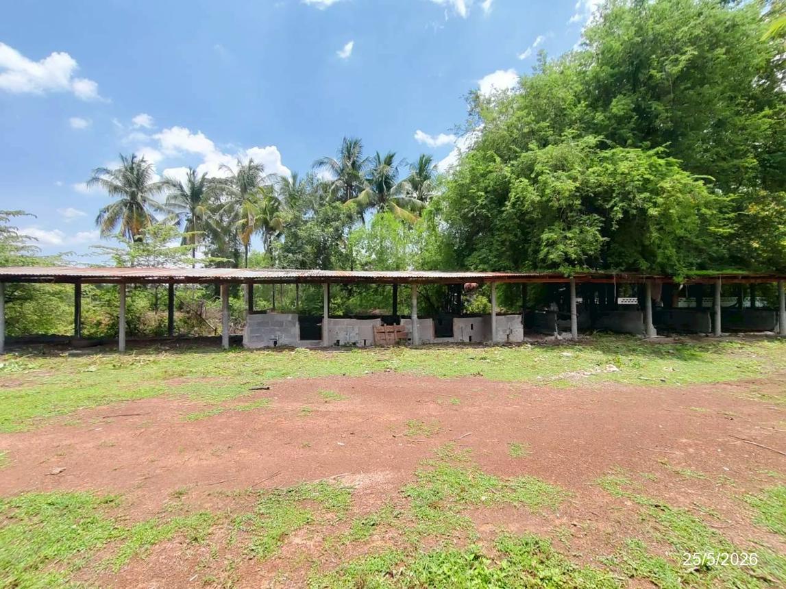 picture HOME 17362 Sq.w. Prachak Silapakom Udon Thani for 12.8M - 46/53