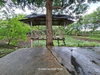 listing thumbnail image 50