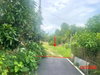 listing thumbnail image 19