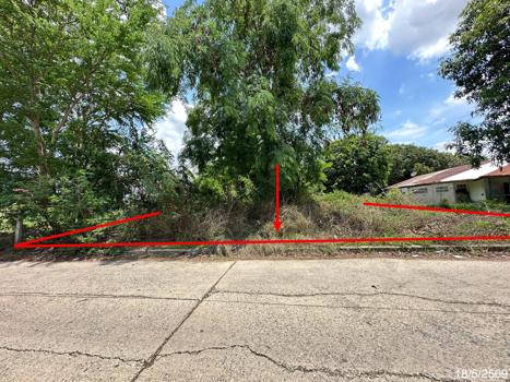picture LAND 300 Sq.w. Taphan Hin Phichit for 980,000 - 18/21