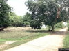 listing thumbnail image 36