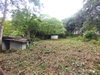 listing thumbnail image 31