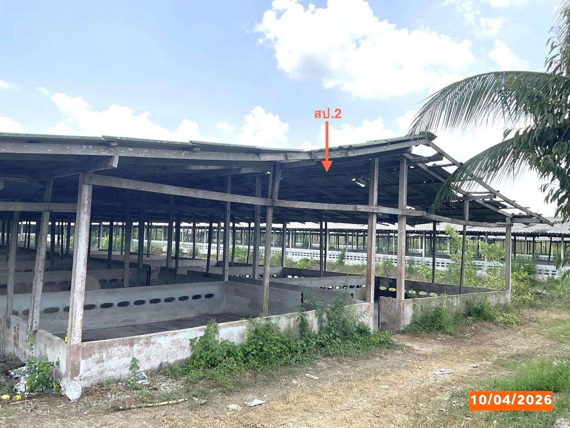 รูป ฟาร์ม 3649 ตร.วา เฉลิมพระเกียรติ นครศรีธรรมราช 8.1M - รูปที่ 22/37
