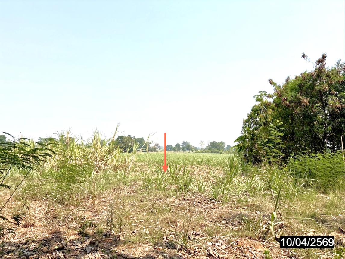 รูป ที่ดินว่างเปล่า 10632 ตร.วา แก้งคร้อ ชัยภูมิ 3.7M - รูปที่ 14/19