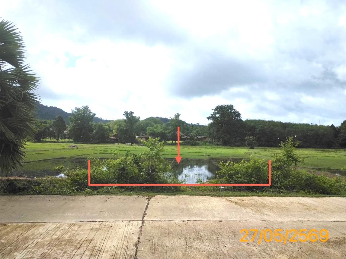 รูป ที่ดินว่างเปล่า 463 ตร.วา เกาะยาว พังงา 2M - รูปที่ 7/15