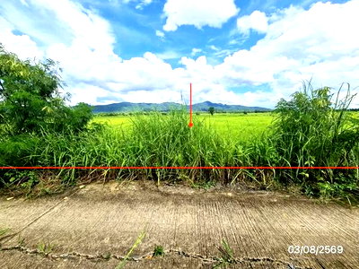 ขายที่ดิน : ที่ดินว่างเปล่า 2203 ตร.วา จุน พะเยา 1.7M
