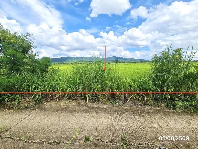 picture LAND 2203 Sq.w. Chun Phayao for 1.7M - 1/21