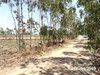 listing thumbnail image 16