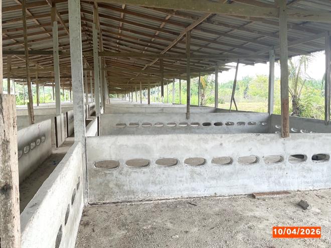 รูป ฟาร์ม 3649 ตร.วา เฉลิมพระเกียรติ นครศรีธรรมราช 8.1M - รูปที่ 15/37