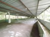 listing thumbnail image 27