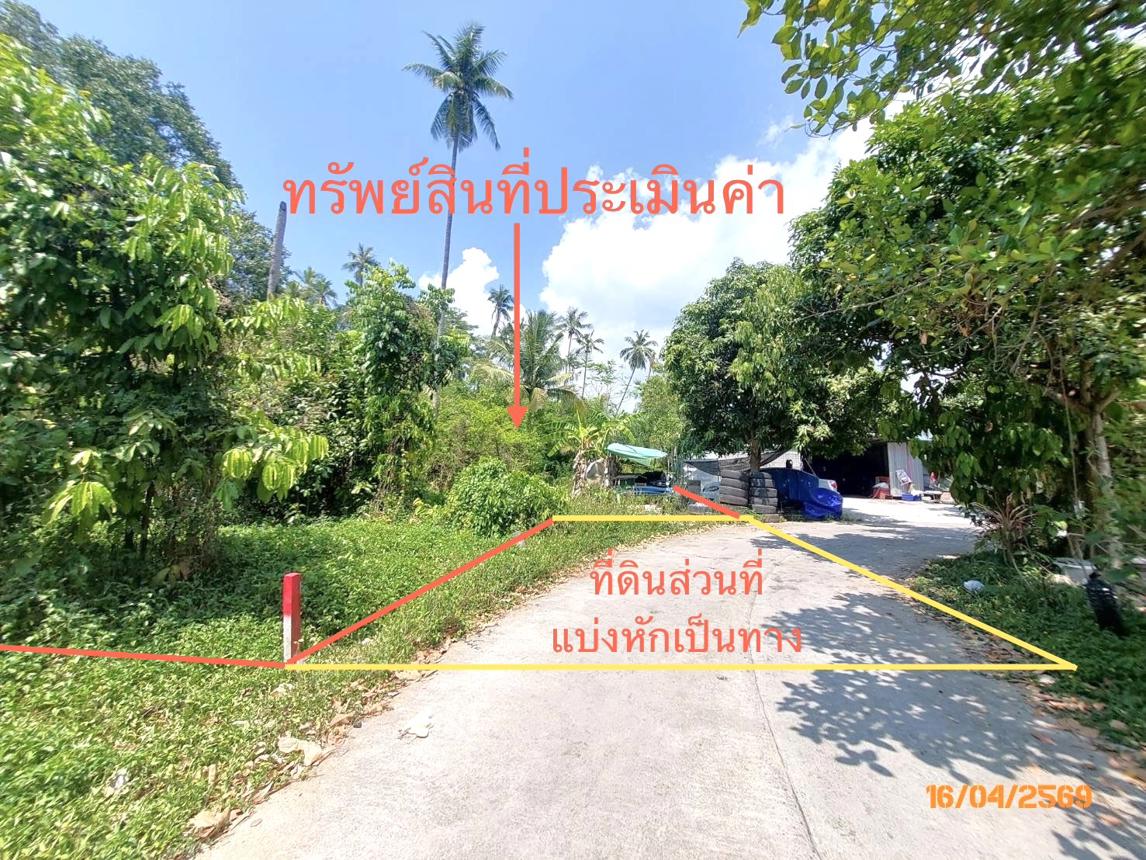 picture LAND 1708 Sq.w. Ko Samui Surat Thani for 12.7M - 9/15