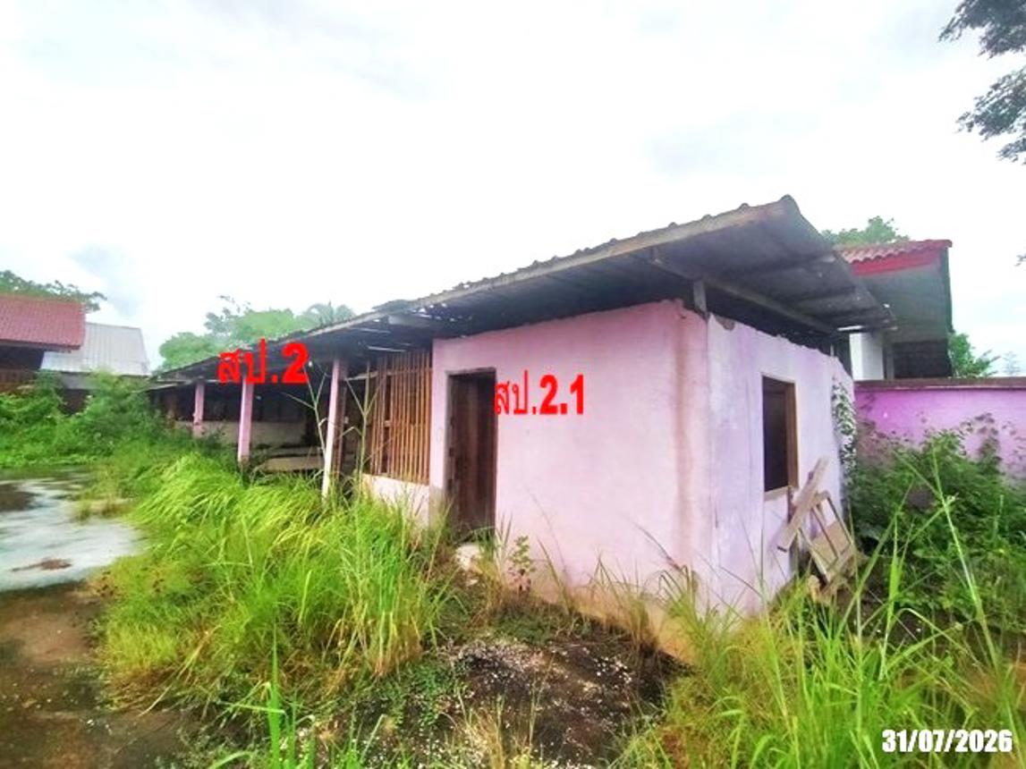 picture HOME 475.2 Sq.w. Tha Li Loei for 2.9M - 30/45
