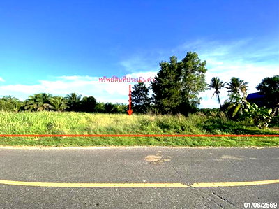 Land for sale Rattaphum Songkhla : LAND 163.4 Sq.w. Rattaphum Songkhla for 1.2M