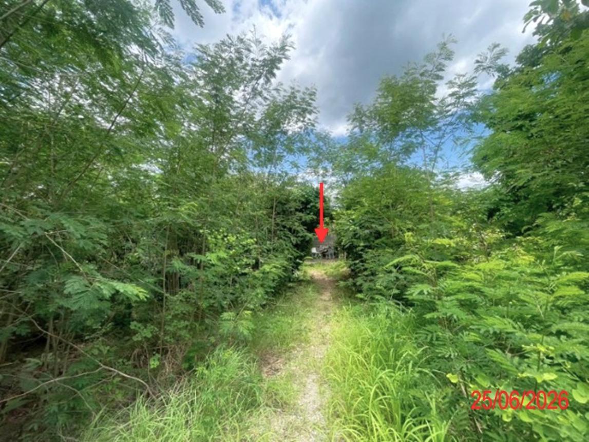 รูป ที่ดินว่างเปล่า 2861 ตร.วา เวียงหนองล่อง ลำพูน 2M - รูปที่ 10/15