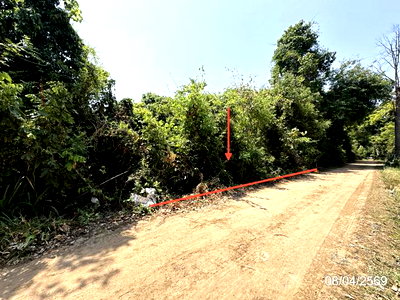 ขายที่ดิน : ที่ดินว่างเปล่า 177 ตร.วา มหาชนะชัย ยโสธร 195,000