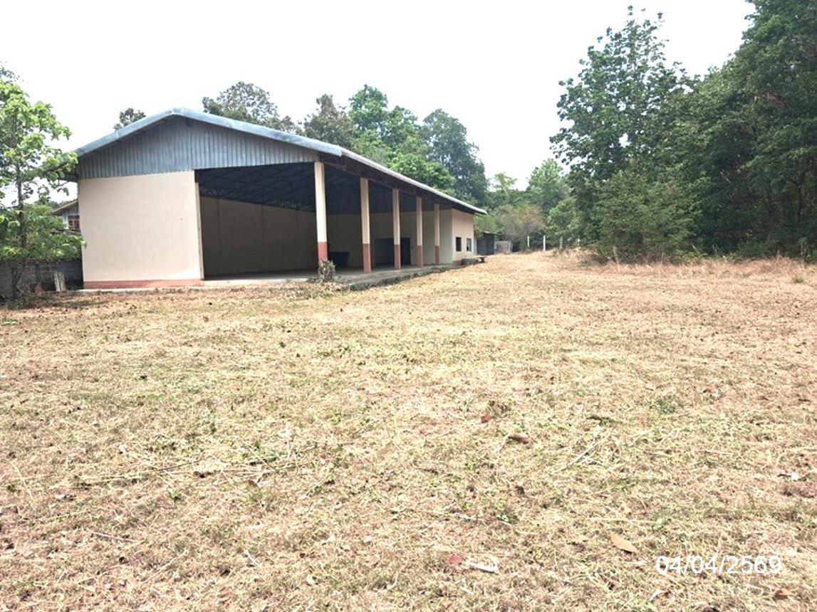 picture FACTORY 1181 Sq.w. Chaturaphak Phiman Roi Et for 2M - 15/29