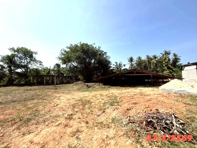 picture FACTORY 3056 Sq.w. Chaiya Surat Thani for 2.1M - 7/23