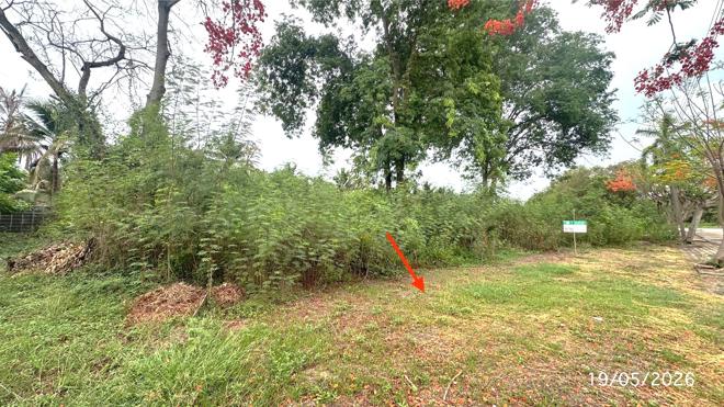 picture LAND 225 Sq.w. Nakhon Chai Sri Nakhon Pathom for 3.3M - 6/21