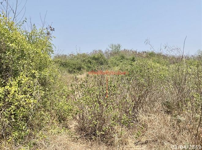 picture LAND 1800 Sq.w. Muang Phetchaburi Petchburi for 1.7M - 4/17