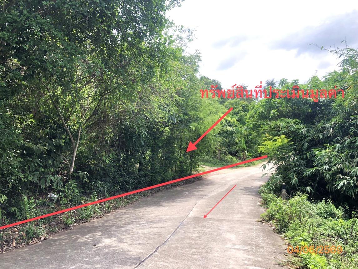 picture LAND 1519 Sq.w. Ko Samui Surat Thani for 14M - 7/15