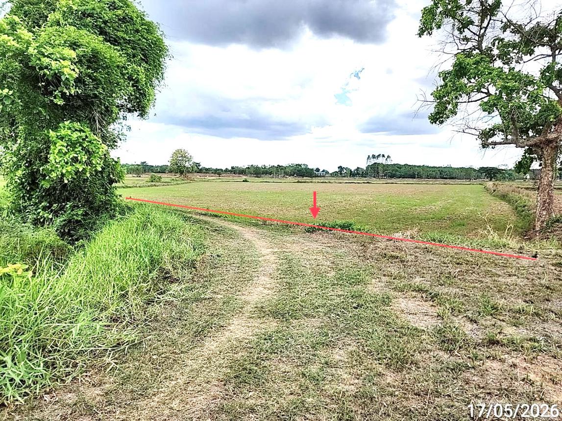 picture LAND 1522.1 Sq.w. Kosum Phisai Maha Sarakham for 419,000 - 14/25