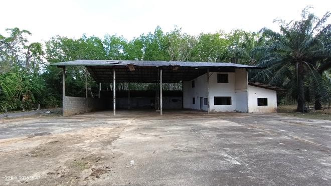 picture FACTORY 1620.3 Sq.w. Huai Yot Trang for 4.8M - 5/35