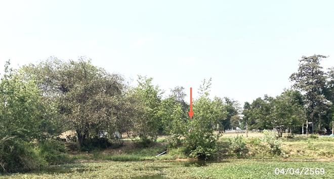 picture LAND 1591 Sq.w. Muang Roi Et Roi Et for 7.2M - 6/21