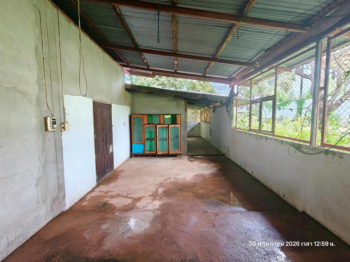 รูป บ้านเดี่ยว 5520 ตร.วา ชานุมาน อำนาจเจริญ 10.2M - รูปที่ 34/55
