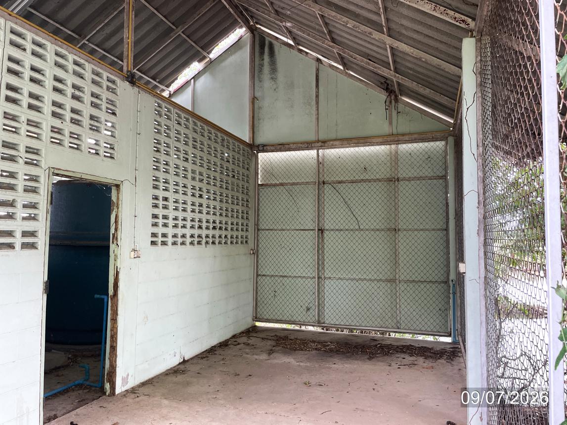 รูป อาคารโรงงาน 1512 ตร.วา สามเงา ตาก 5.5M - รูปที่ 25/29