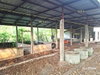 listing thumbnail image 25
