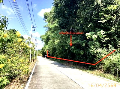 ที่ดิน โบ๊ท ลากูน ภูเก็ต : ที่ดินว่างเปล่า 6417.1 ตร.วา เมืองภูเก็ต ภูเก็ต 109M