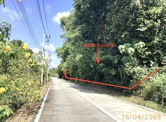picture LAND 6417.1 Sq.w. Muang Phuket Phuket for 109M - 1/23