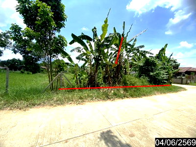 Land for sale Loei : LAND 187.9 Sq.w. Tha Li Loei for 602,000