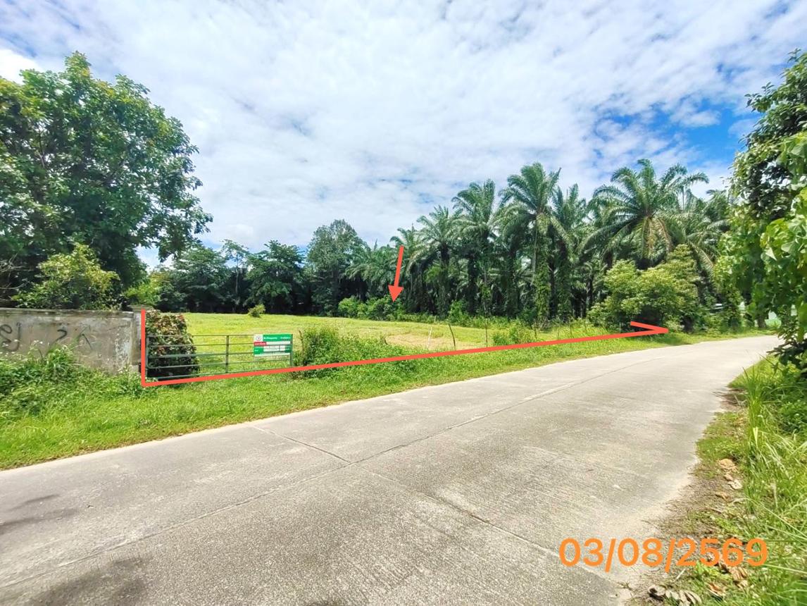 picture LAND 235.5 Sq.w. Nua Khlong Krabi for 2.6M - 9/17