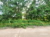 listing thumbnail image 19