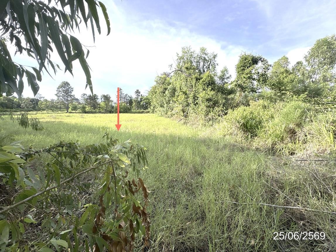 picture LAND 5200 Sq.w. Senangkhanikhom Amnat Charoen for 3.7M - 14/21