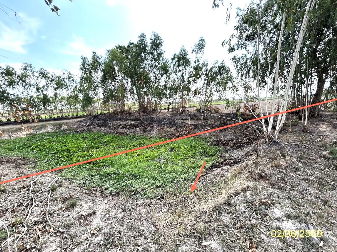 รูป ที่ดินว่างเปล่า 1161 ตร.วา มหาชนะชัย ยโสธร 436,000 - รูปที่ 11/19