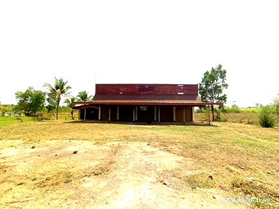 Factory for sale Kalasin : FACTORY 677 Sq.w. Somdet Kalasin for 3.4M