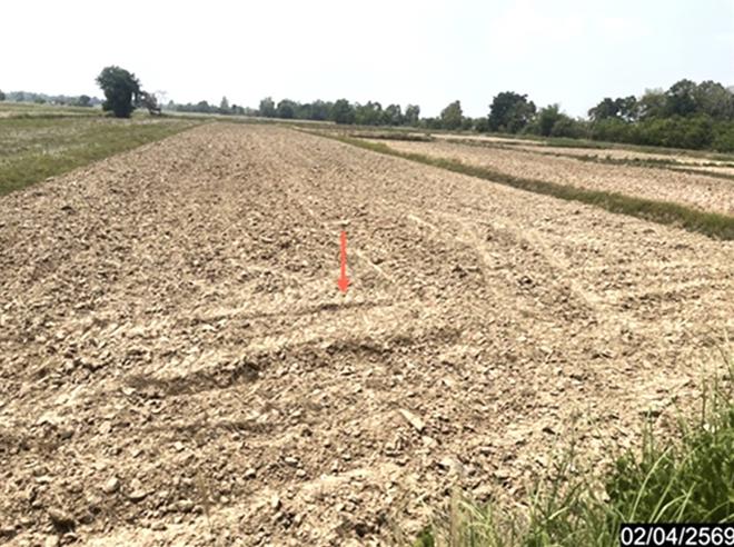 รูป ที่ดินว่างเปล่า 1315 ตร.วา หนองกุงศรี กาฬสินธุ์ 704,000 - รูปที่ 6/19