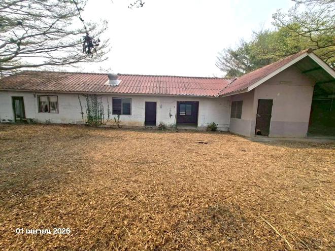 รูป บ้านเดี่ยว 800 ตร.วา สันกำแพง เชียงใหม่ 4.9M - รูปที่ 15/67