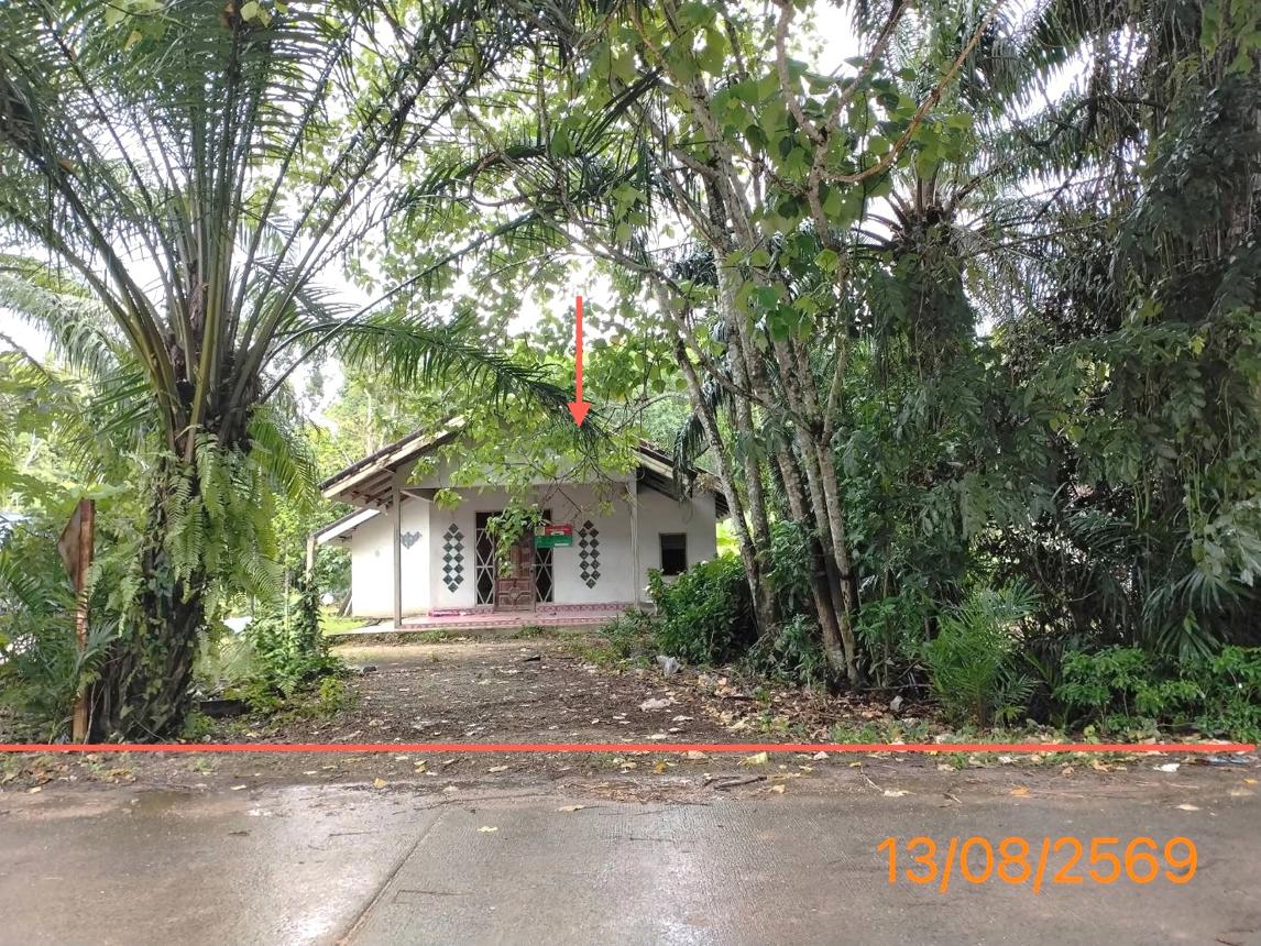 picture HOME 268 Sq.w. Khao Phanom Krabi for 1.7M - 12/25