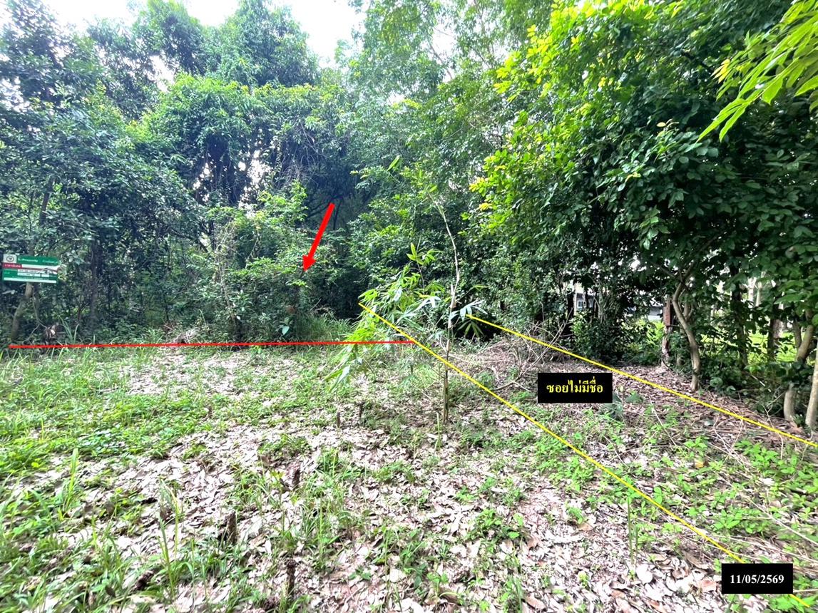 รูป ที่ดินว่างเปล่า 179 ตร.วา ส่องดาว สกลนคร 286,000 - รูปที่ 15/19