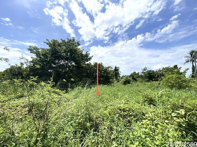 picture LAND 759 Sq.w. Phran Kratai Kamphaeng Phet for 806,000 - 6/15