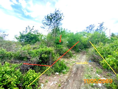 Land for sale Nakorn Krabi College of Technology : LAND 150 Sq.w. Muang Krabi Krabi for 995,000