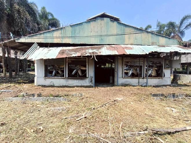 รูป ฟาร์ม 6600 ตร.วา เมืองปราจีนบุรี ปราจีนบุรี 8.8M - รูปที่ 5/89